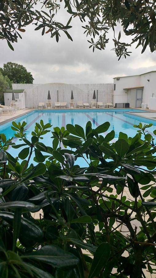Location de vacances pour 5 personnes, avec vue ainsi que piscine et jardin, animaux acceptés à Alberobello - 2