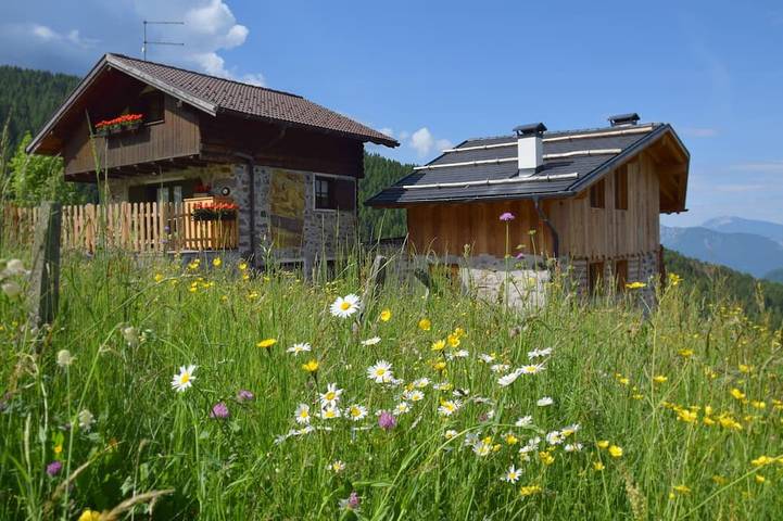Rustico per 6 persone, con balcone e giardino, con animali domestici in Trentino