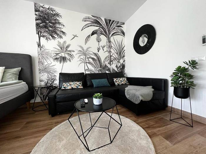 Entire vacation apartment, Lux Apartment. City Center in Torremolinos Centre, Torremolinos