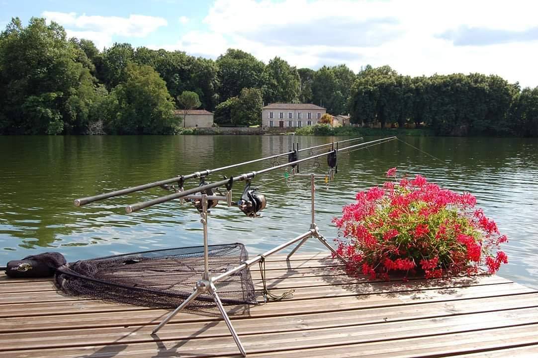 Maison idéale pour la pêche in Saint-Étienne-de-Fougères, Quercy