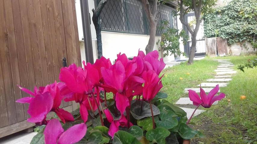 Villa per 4 persone, con giardino e piscina in Torre Annunziata