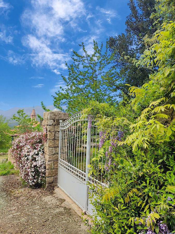 Appartement entier, Studio with Terrace in Peri, Région d'Ajaccio