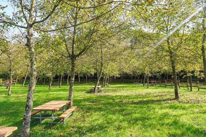 Gîte pour 4 personnes, avec vue et jardin, animaux acceptés à Pontremoli - 3