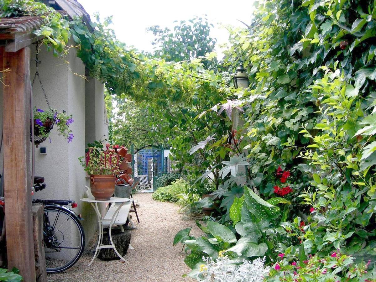 One-Bedroom House in Selles-sur-Cher, Région de Romorantin-Lanthenay