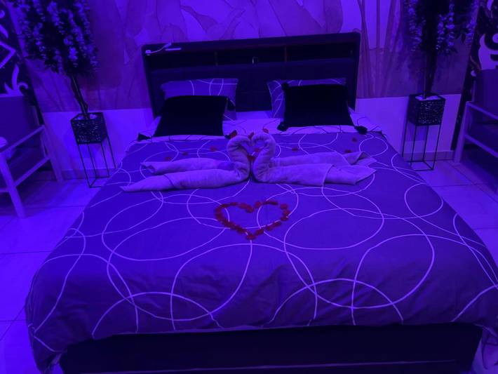 Maison d’hôte pour 2 personnes, avec piscine ainsi que jacuzzi et sauna, animaux acceptés à Douai - 2