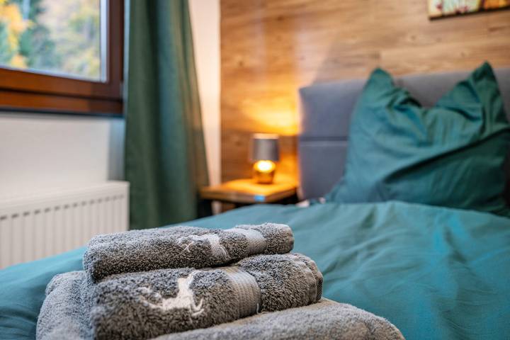 Ferienwohnung für 2 Personen, mit Haustier in Saalbach-Hinterglemm - 4