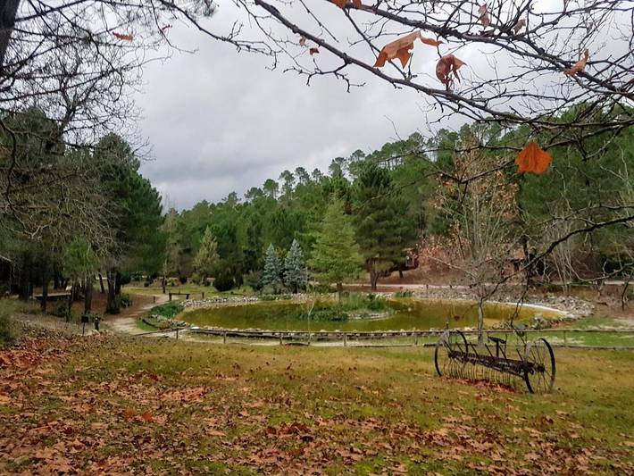 Chalet para 4 personas, con jardín y piscina en Sierras del Segura - 2