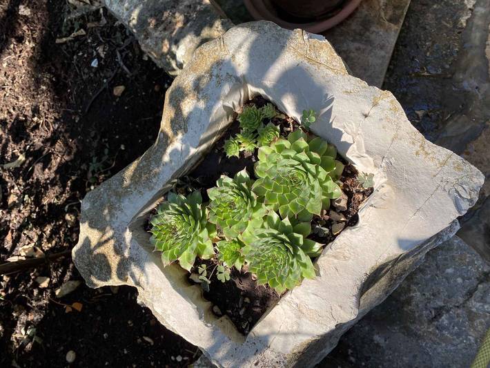 Ferienhaus für 4 Personen, mit Garten in Kroatien - 4