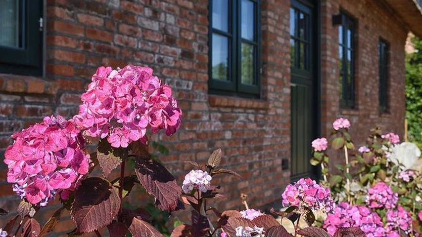 Ferienhaus für 7 Personen, mit Garten und Sauna in Oevenum - 2