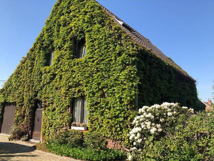 Chambre d’hôte pour 4 personnes, avec Terrasse ainsi que Jardin et Vue à Lochristi