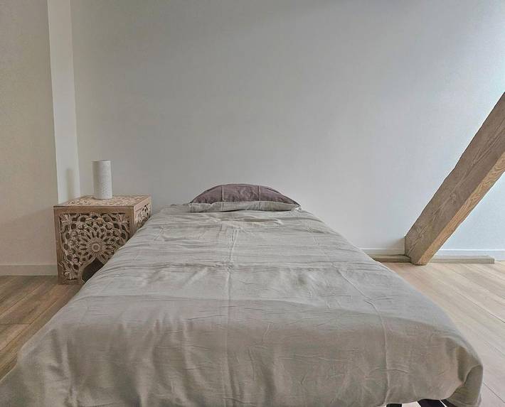 Location de vacances pour 4 personnes, avec jardin et terrasse à Oyonnax - 4