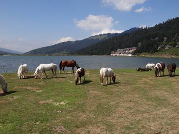 Appartement de vacances pour 4 personnes, avec balcon et vue sur le lac dans les Hautes-Pyrénées