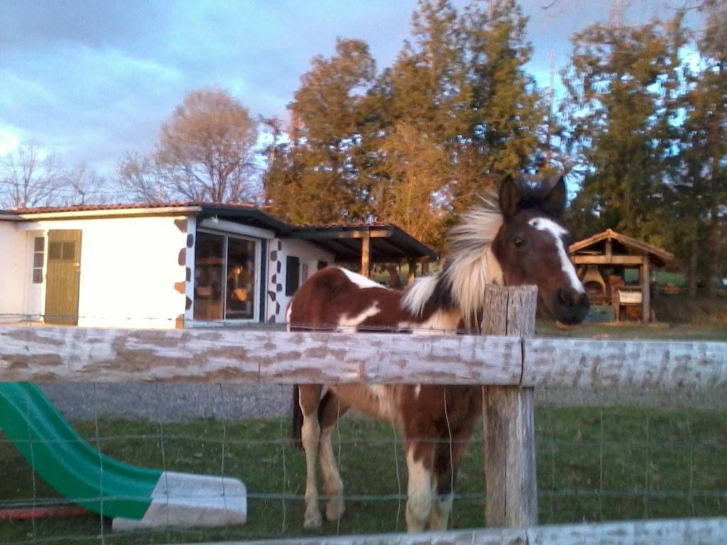 Maison Haizea in Halsou, Région de Bayonne