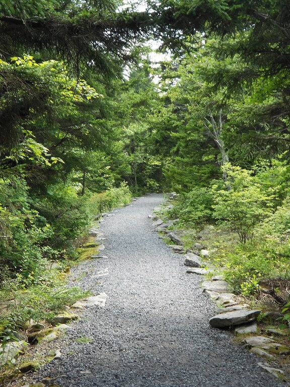 Atemberaubende abgelegene Hütte! Nächste Vermietung zu Spruce Knob! in Seneca Rocks