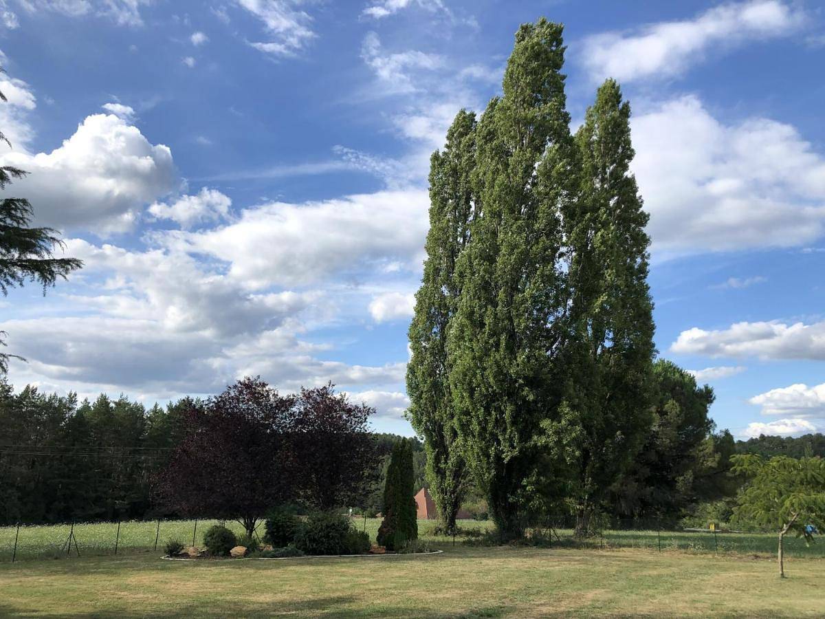 Dcv Summer Home in Blis-et-Born, Périgord Blanc