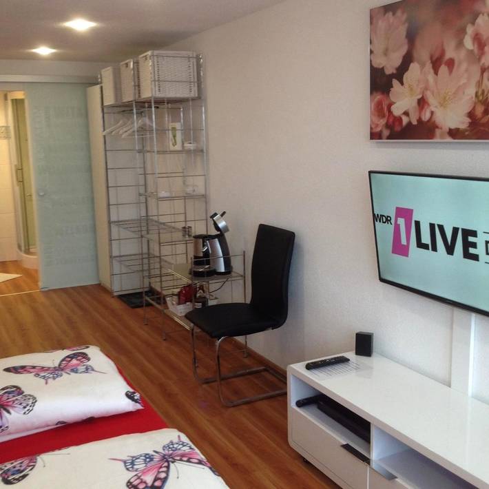 Gîte pour 3 personnes, avec sauna et piscine ainsi que jardin et vue dans Brandmatt - 3