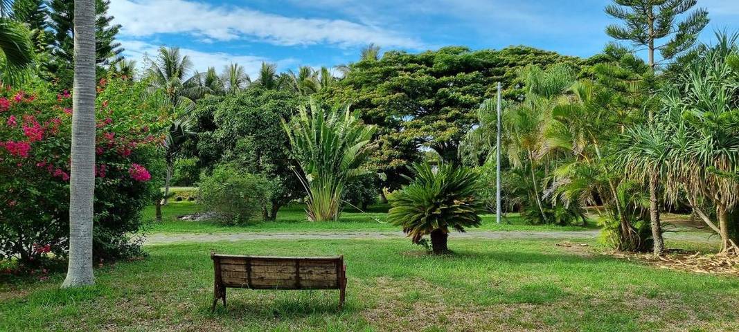 Gîte pour 3 personnes, avec vue ainsi que terrasse et jardin En Nouvelle-Calédonie - 3