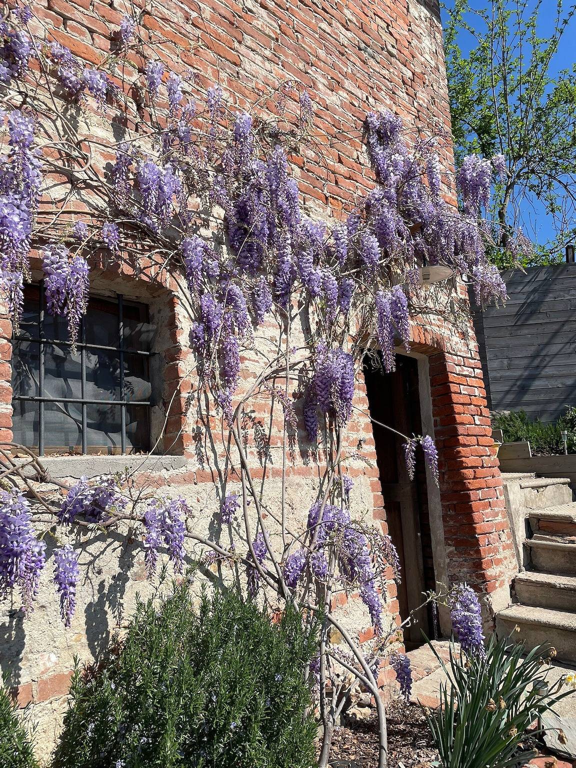Ferienhaus 'La Casa di Noah' mit Langhe-Blick, privater Terrasse und Wlan in Bene Vagienna, Cuneo Provinz