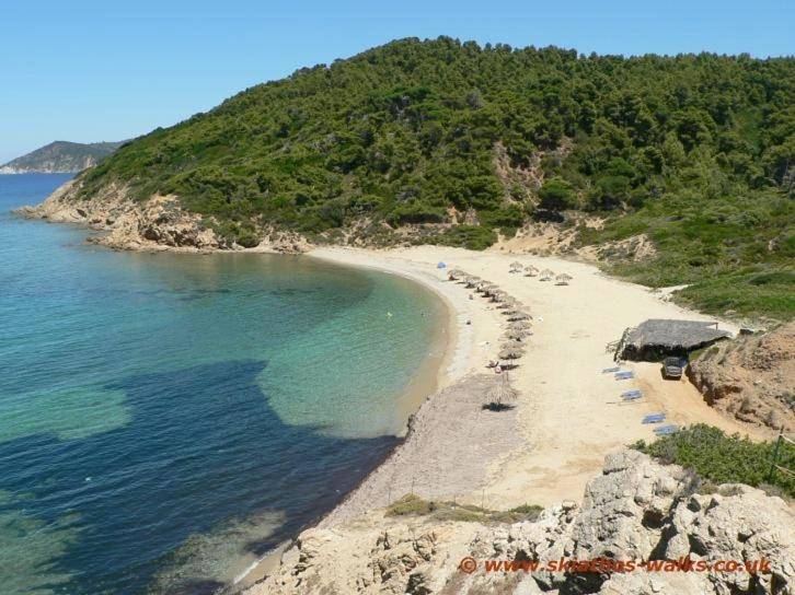 Triple Room with Private Bathroom in Sporadi