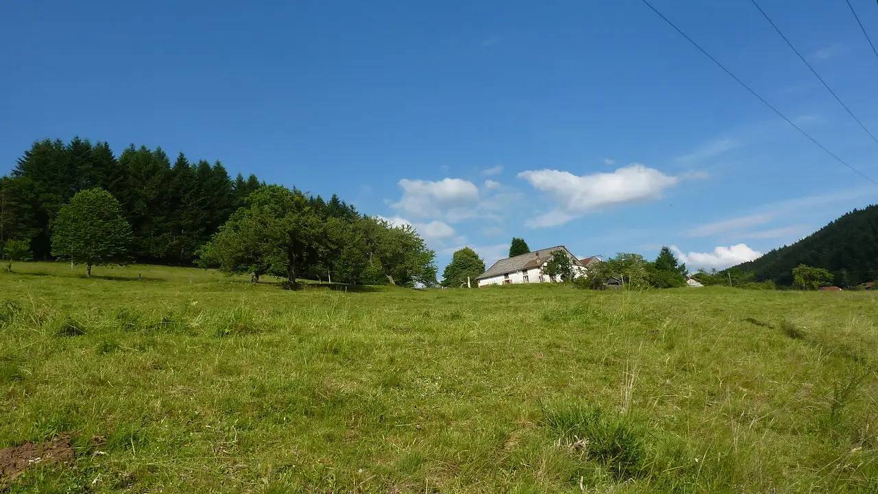 Ferienhaus für 4 Personen (40 m²) in Vagney in Vagney, Parc naturel régional des Ballons des Vosges