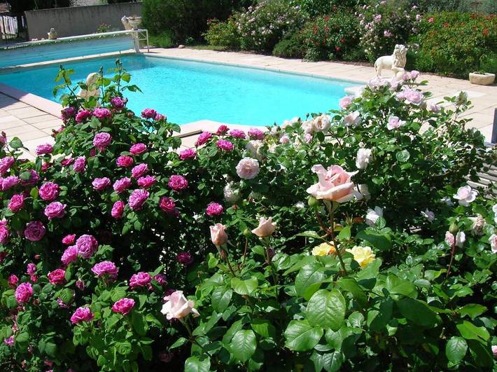 Location de vacances pour 2 personnes, avec terrasse ainsi que piscine et jardin, animaux acceptés à Bédoin - 3