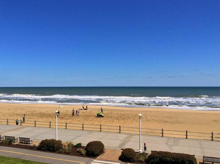 Hotel para 3 personas, con balcón y vistas, Se admiten mascotas - 1