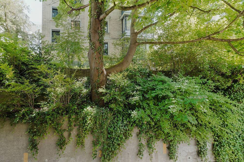 Entire apartment, Cool Unterstrass 3Br, 15min walk to Zurich Hb, by Blueground in Zurich, Zurich district
