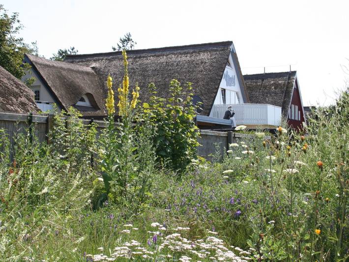 Ferienwohnung für 3 Personen, mit Balkon und Terrasse sowie Garten in Wustrow