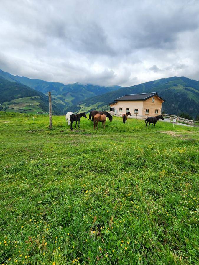 Ferienhaus für 8 Personen, mit Ausblick und Sauna sowie Terrasse in Rauris - 4