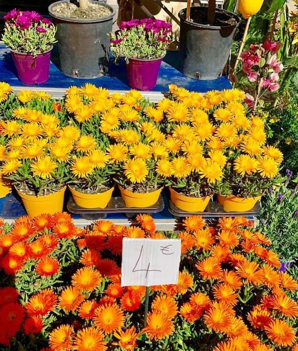 Gîte pour 2 personnes, avec vue et terrasse dans Plage Fabron Bambou Nice - 4