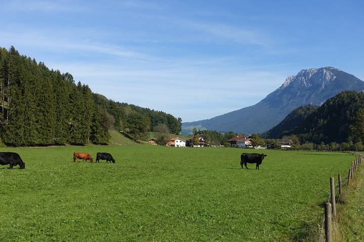 Ganze Ferienwohnung, Bleierhof - Rustikale Ferienwohnung Zuhaus, ländlich - ruhige Lage mit voll ausgestatteter Küche in Kiefersfelden, Bayerische Alpen