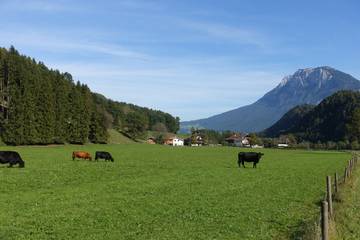 Hütte für 6 Personen in Kiefersfelden, Bayerische Alpen, Bild 4