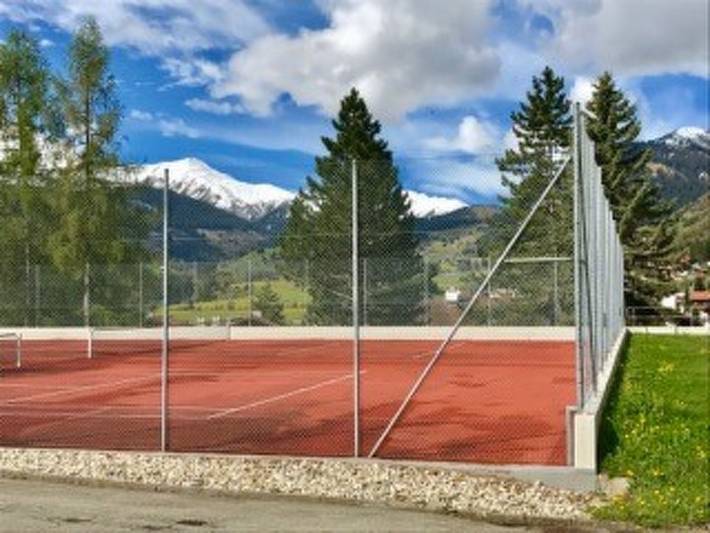Appartement entier, Disentiserhof Hönig in Disentis, Surselva