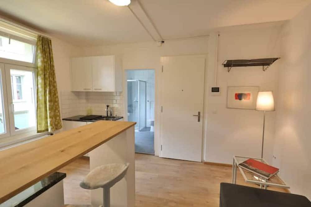 Entire apartment, City Center Union 3 Apartment in Interlaken, Lake Thun