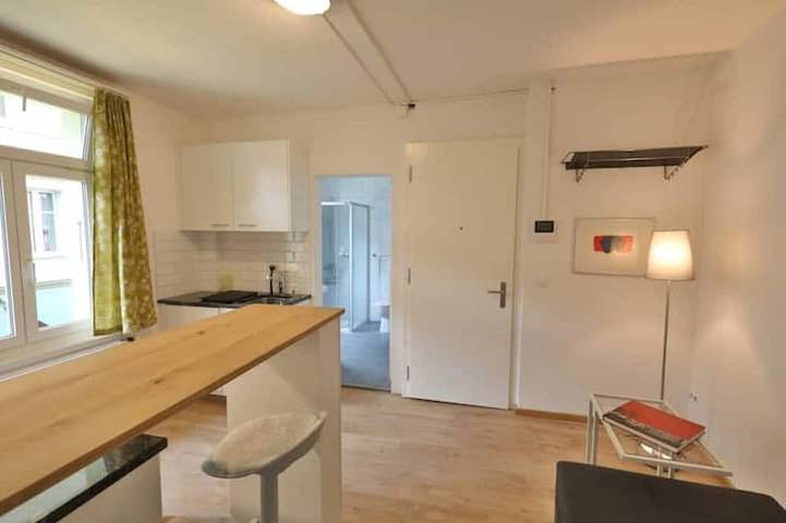 Geheel appartement, City Center Union 3 Apartment in Interlaken, Meer van Thun