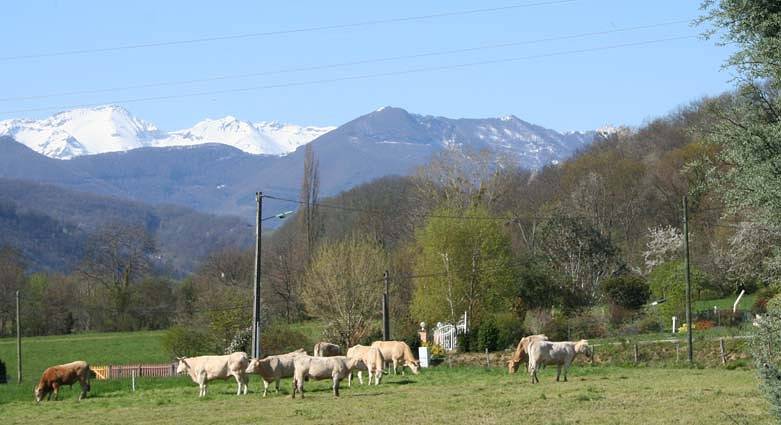 Coumenios in Moulis (Ariège), Parc naturel régional des Pyrénées ariégeoises