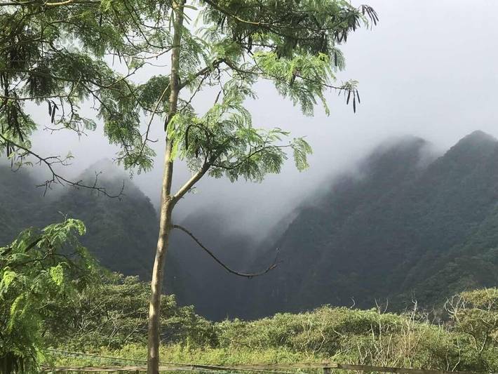 Vacation rental for 4 people, with pool and garden as well as balcony on Oahu