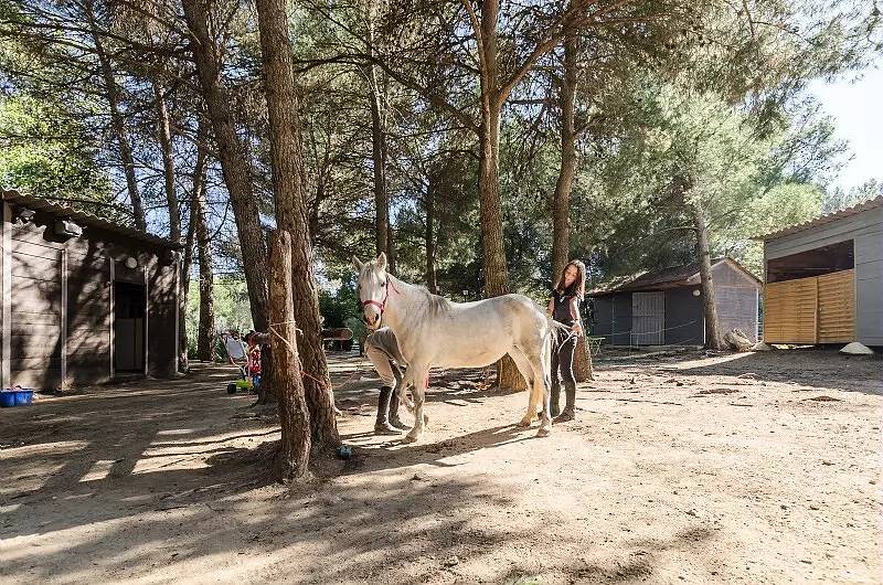 Casa con aire acondicionado 3 estancias 6 personas - Selección in Mallemort, Region de Arles