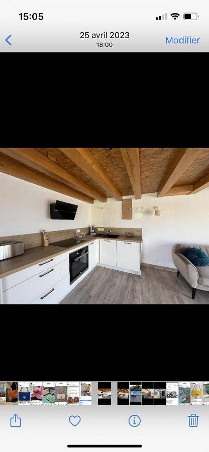 Gîte pour 2 personnes, avec jardin et piscine, animaux acceptés à Montegrosso - 4