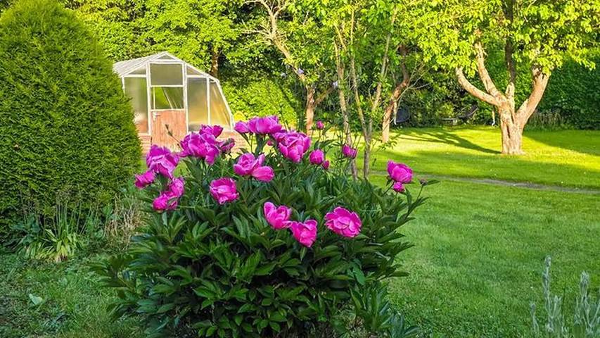 Ferienwohnung für 6 Personen, mit Garten in Sande - 2