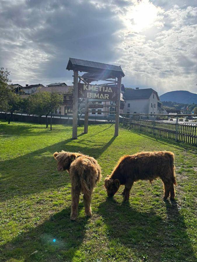 Ferienhaus für 2 Personen, mit Garten und Ausblick sowie Pool und Sauna in Slowenien - 3