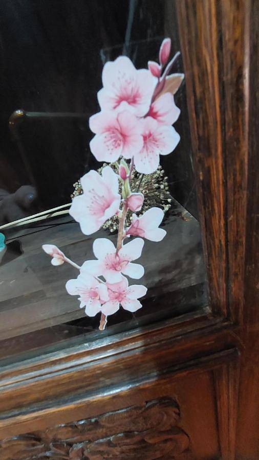 Location de vacances pour 6 personnes, avec terrasse, animaux acceptés dans Garrigues - 3