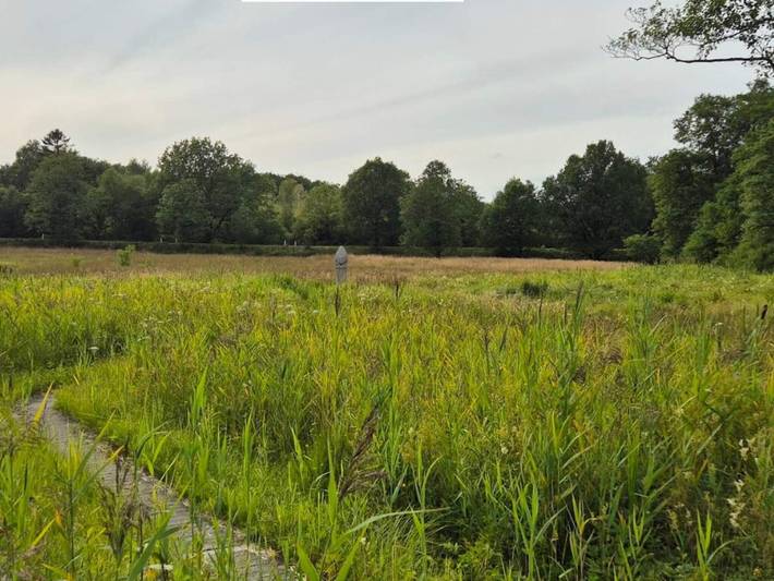 Ferienhaus für 4 Personen, mit Terrasse, mit Haustier in Ostjütland - 3