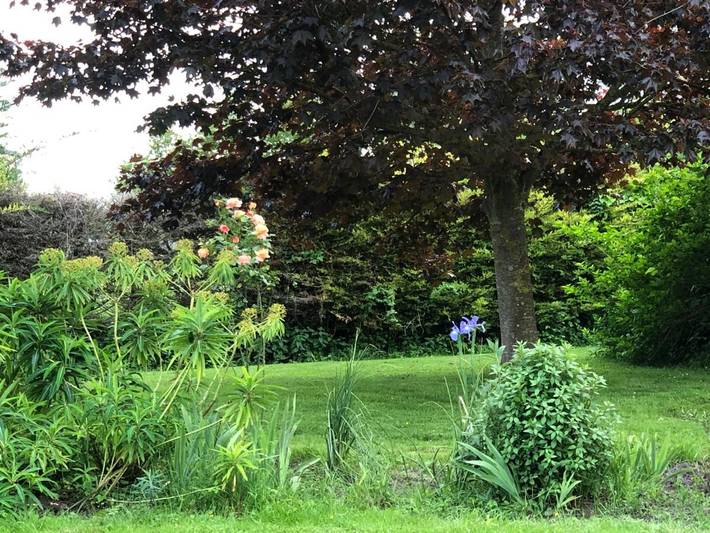 Location de vacances pour 2 personnes, avec sauna ainsi que jardin et jacuzzi à Mont-Dol - 2