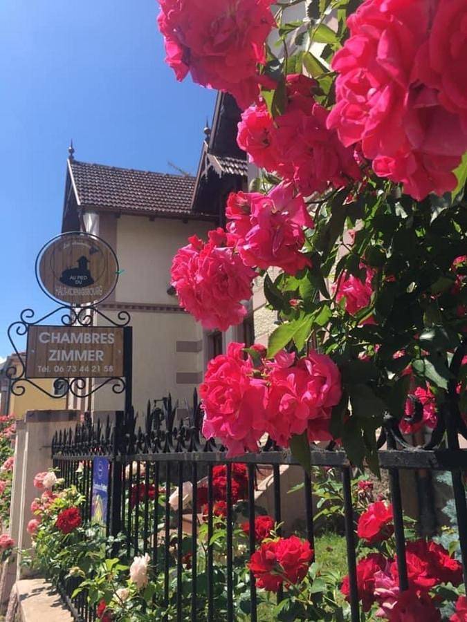 Gîte pour 4 personnes, avec jardin à Kintzheim - 4