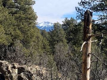 Camping für 4 Personen in Coconino Nationalwald, Arizona, Bild 2