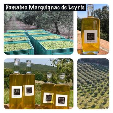 Location de vacances pour 8 personnes, avec vue ainsi que piscine et jardin à Sauve