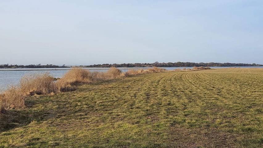 Ferienhaus für 7 Personen, mit Garten, mit Haustier in Lolland-Falster - 3