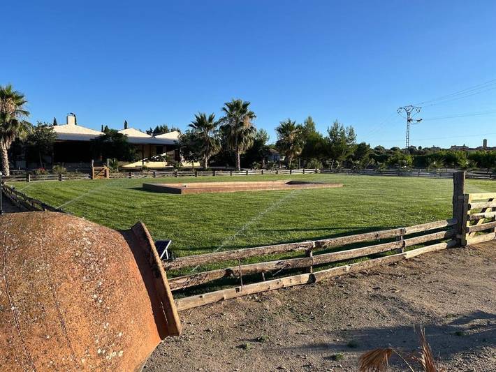 Casa rural para 3 personas, con jardín además de piscina y terraza en La Puebla de Montalbán - 4