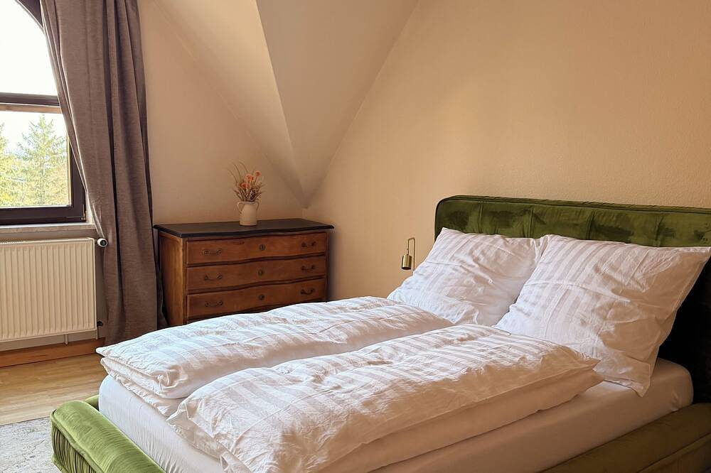 Ganze Wohnung, Traumwohnung in Jugendstil-Villa | Panoramablick, Stadt&Natur vor der Tür in Sonneberg, Region Sonneberg